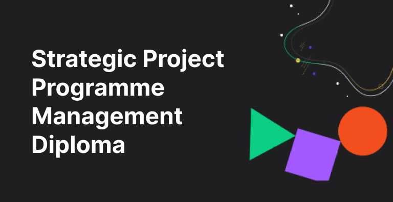 Strategic Project Programme Management